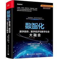 《数智化·数字政府、数字经济与数字社会大融合》（精装）