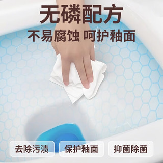 ZOOLII洁厕块芳香洁厕灵蓝泡泡除臭马桶清洁块除垢洁厕宝清洁剂神器