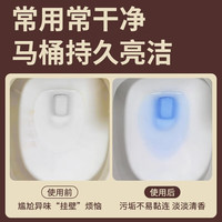 ZOOLII洁厕块芳香洁厕灵蓝泡泡除臭马桶清洁块除垢洁厕宝清洁剂 清甜蜜桃1盒【抑菌率99%】