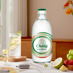象牌 苏打水荣帝原味325ml*24瓶