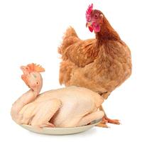 WENS 温氏 跑步小土鸡 650g