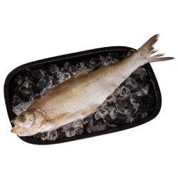 黄小渔 淡水白条鱼850g/2半条白水鱼三去开背翘嘴鲌白刁鱼年货节源头直发