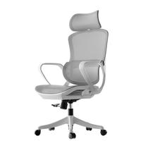 黑白调P1 Air人体工学椅电脑椅子办公椅电竞椅久坐人工力学座椅 【全椅特级网布】有颈枕 霜白