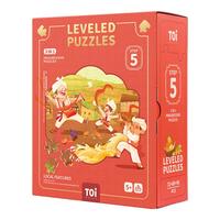 TOI 图益 国风系列 5阶地方特色 普通拼图 256片