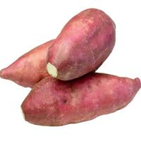 静益乐源 黄心蜜薯 2.5kg