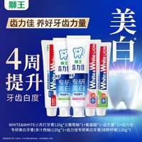 狮王 牙膏多效护理实惠家庭装600g套组