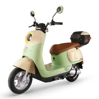 五星钻豹 G2 电动摩托车 ZB1200DT-37 星空牛果绿