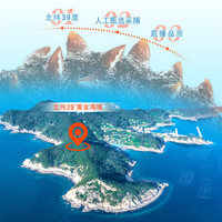 北纬39° 大连速发干海参63g 30只 獐子岛子品牌 辽刺参淡干海鲜礼盒 【8小时】速发干海参63g 30只