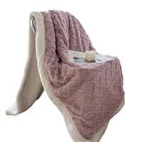 洁丽雅(Grace)3A抗菌塔芙绒毛毯加厚双面盖毯毯子午睡毯 莫奈紫 1.5*2M 塔芙绒【莫奈紫】 150*200cm