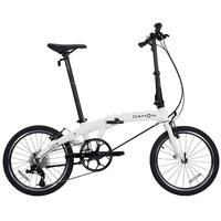 大行（DAHON）P10折叠自行车10速铝合金成人通勤V刹 PAA003