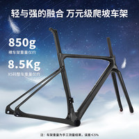 SAVA/萨瓦 全碳纤维 公路车