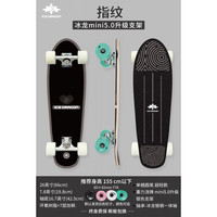 冰龙 ICE DRRGON ICE DRAGON 冰龙 小鱼板滑板 初学者滑板车