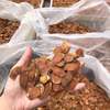 足龄红参片正品官方旗舰店长白山无糖红参中药材500g人参高丽参片