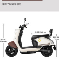 新日 电动摩托车丽曼续航70公里60V20AH天能铅酸电池大容量成人代步轻便超长续航烟灰绿