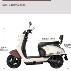 新日 电动摩托车丽曼续航70公里60V20AH天能铅酸电池大容量成人代步轻便超长续航烟灰绿