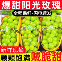 蹊蹊的小菜园 云南阳光玫瑰葡萄 3斤