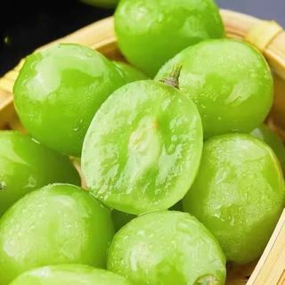 云南阳光玫瑰葡萄脆甜青提无籽大颗爆甜晴王葡萄新鲜产地直发
