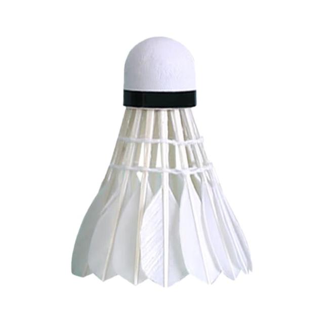 361° 羽毛球 家庭款 1筒 6只