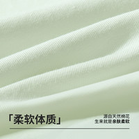 黛尔佳人内裤女士2025新款亲肤纯棉抗菌全棉裆无痕透气女生三角裤