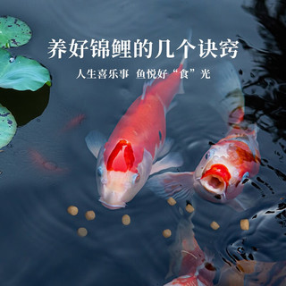森森（SUNSUN）锦鲤鱼饲料观赏鱼金鱼饲料专用鱼粮增色不浑水鱼食锦鲤专用 综合营养3mm中颗粒 5斤装