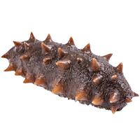 弹指鲜生大连即食海参 鲜食辽刺参冷冻 高固形物 85%高固形物】鲜食参500g 9-12只