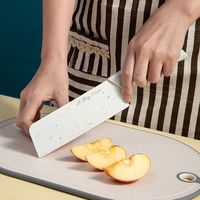 锋利女士菜刀家用免磨切片刀不锈钢切肉片刀宿舍轻便小巧厨师刀具