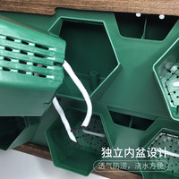 立体多层墙上创意相框挂墙挂壁花架自吸水免打孔水培壁挂花盆花器 中等