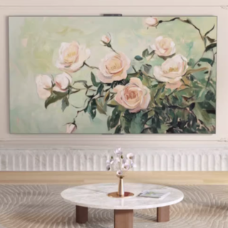 HUAWEI 华为 Vision 5 HD6XAJMN 液晶电视 65英寸 4K