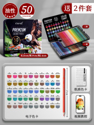 丹可林 DELGREEN 彩铅美术生专用油性彩色铅笔绘画彩铅笔画画动漫初中生专用72色120色可擦彩笔专业涂色小学生美术水溶性画笔