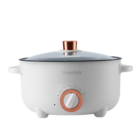 龙的 多功能电火锅 LD-HG313G 大/小档火力调节 满足不同烹饪需求