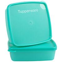 特百惠（Tupperware）果菜小方盒250ml*2件套保鲜盒食品级冰箱冷藏储物收纳盒色 冷藏小方盒250ml*2