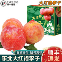 南步 东北大红袍李子 3斤 中小果【单果70-80g】