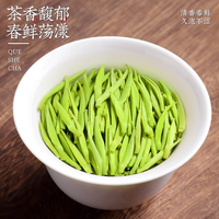 2025头采特级雀舌明前绿茶清香型冷泡鲜嫩芽茶叶自己喝罐装 250g