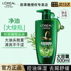 L'OREAL PARIS 茶树植萃去屑净油洗发露 500ml