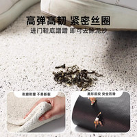 丝圈入户门地垫可裁剪耐脏防滑家用高级玄关进门口脚垫毯2025 平安喜乐