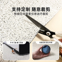 丝圈入户门地垫可裁剪耐脏防滑家用高级玄关进门口脚垫毯2025 郁金香