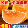 萧鲜生 甘肃民勤蜜瓜黄河蜜瓜 4.25-4.5斤（1-2个装）
