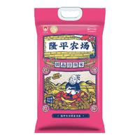 袁隆平 龙门基地 大米 5kg