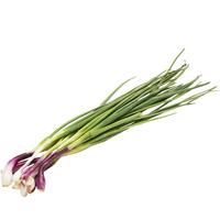 北蔬 红根小香葱种子红头小葱四季盆栽蔬菜种籽 红根小葱种子1200粒