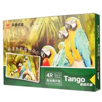 TANGO 天章 新绿天章系 4R高光相片纸 180g 100张/包*1包