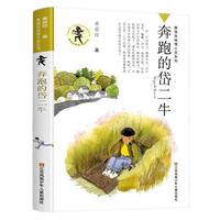 《黄蓓佳倾情小说系列·奔跑的岱二牛》