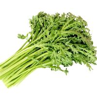 种菜记 蔬菜种子大全快菜生菜鸡毛菜种籽四季南方小青菜春季阳台蔬菜孑 青香光杆茼蒿种子10克