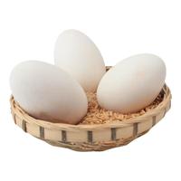 九万鹏山东新鲜鹅蛋杂粮喂养农家散养土鹅蛋12枚净重2.4斤源头直发