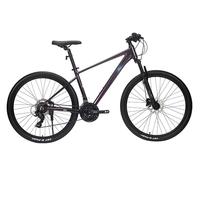 福特自行车山地车男女士成人铝合金越野变速单车 LM380 丁香紫L码
