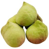 京鲜生 广西鹰嘴桃净重4.5斤装 单果重140g+ 当季新鲜水果 源头直发