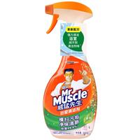 Mr Muscle 威猛先生 浴室清洁剂 500g
