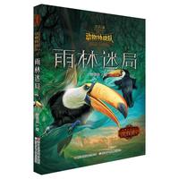 《沈石溪中国原创奇幻动物小说·动物特战队：雨林迷局》