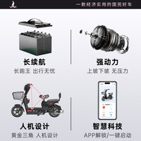 凤凰（Phoenix）电动车女生小型轻便新国标电动自行车成人电瓶车双人代步通勤长续航电单车两轮助力车 科技蓝【 终身保障】 【锂电】15A汽车级-助力续航80公里