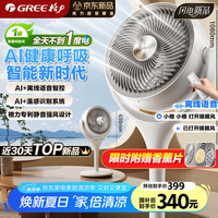 格力 GREE 空气循环扇家用电风扇直流变频低噪遥控风扇离线语音电扇 FXDZ-20X80Bg5