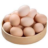 舌尖攻略农家散养土鸡蛋单枚50g±5g 营养早餐食材 优质蛋白 整体纸箱包装 【活动价】10枚土鸡蛋